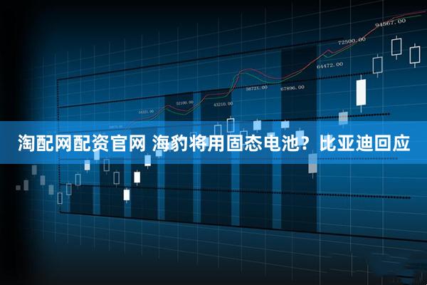 淘配网配资官网 海豹将用固态电池？比亚迪回应