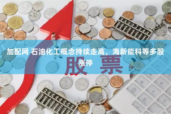 加配网 石油化工概念持续走高，海新能科等多股涨停