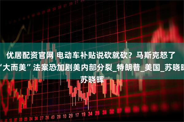 优居配资官网 电动车补贴说砍就砍？马斯克怒了 “大而美”法案恐加剧美内部分裂_特朗普_美国_苏晓晖